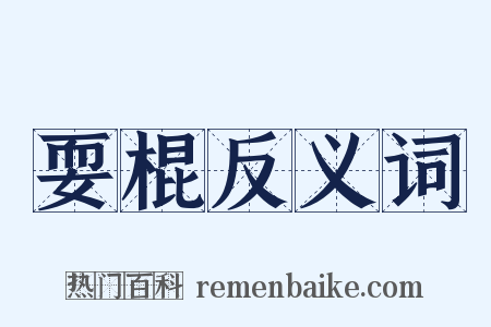 耍棍反义词是什么意思的图片